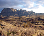 Chihuahuan Desert Center