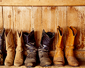 Texas Cowboy Poetry Gathering